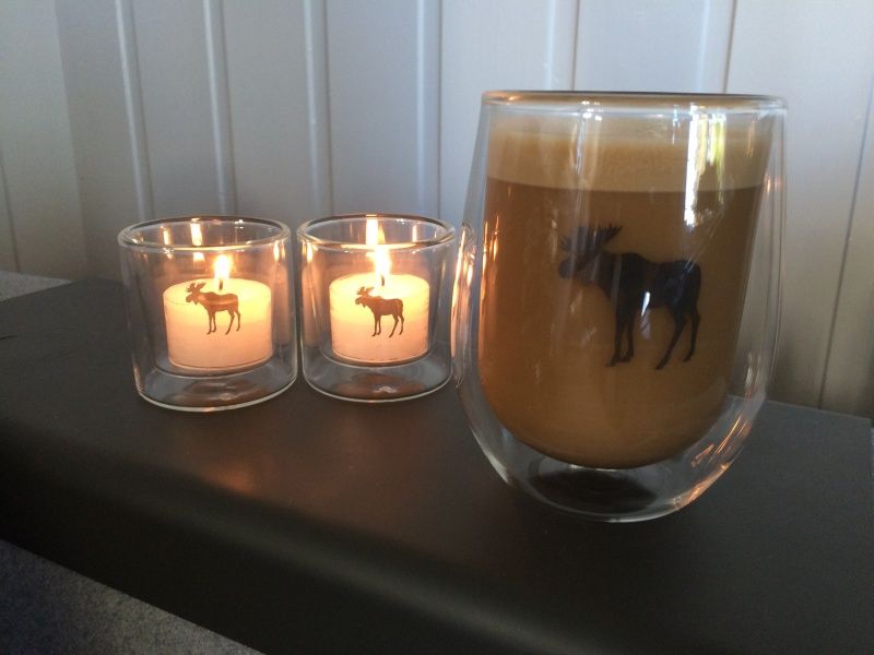 Kaffeglass med dobbel vegg - Silver Moose