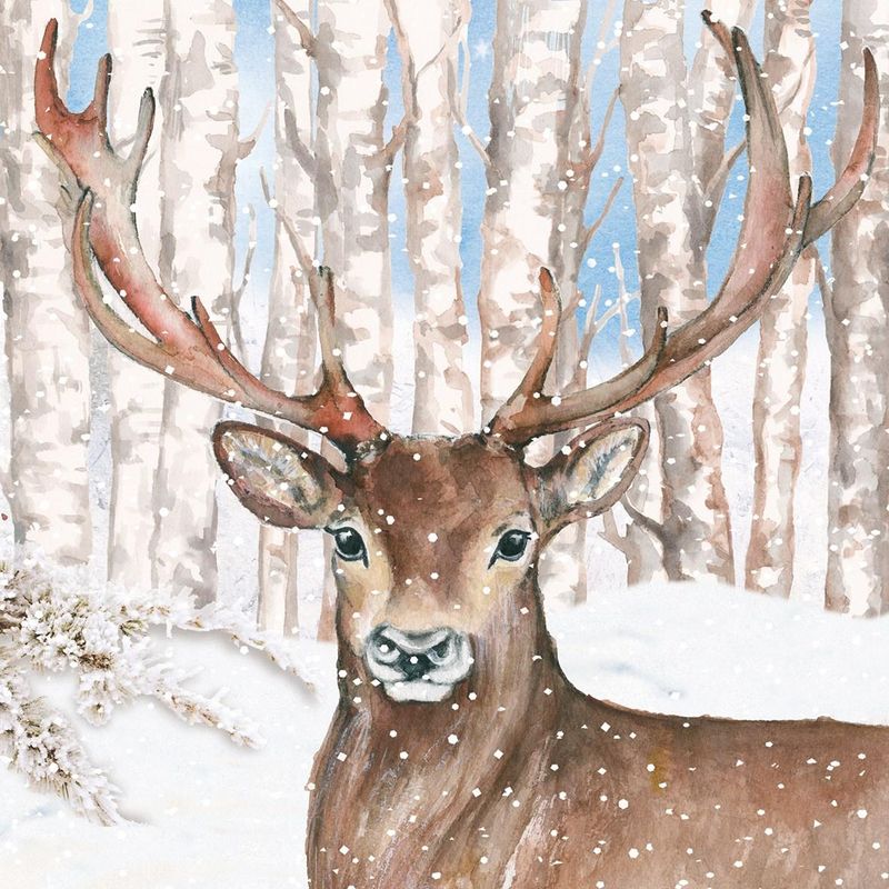 Middagsservietter Vinter 