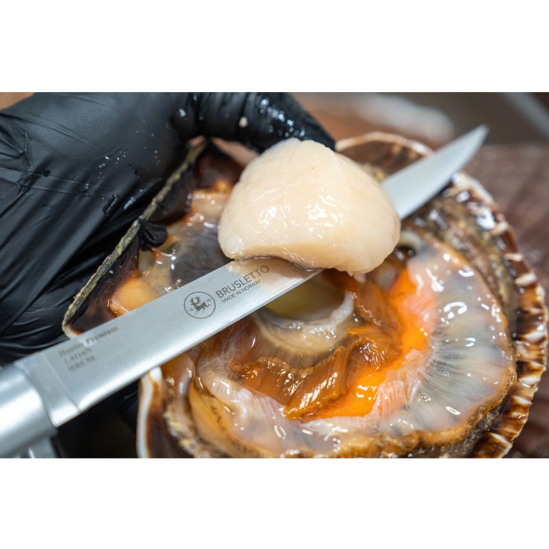 Brusletto Hunter Premium Chef Fileteringskniv