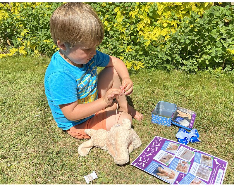 Gift in a tin Hundevalp 