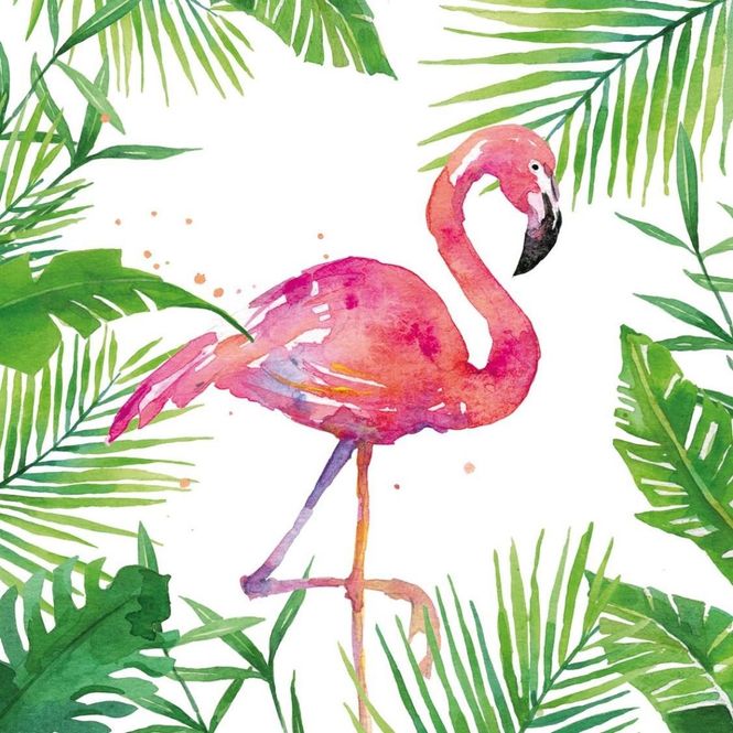 Hovedbilde Middagsservietter Tropical 